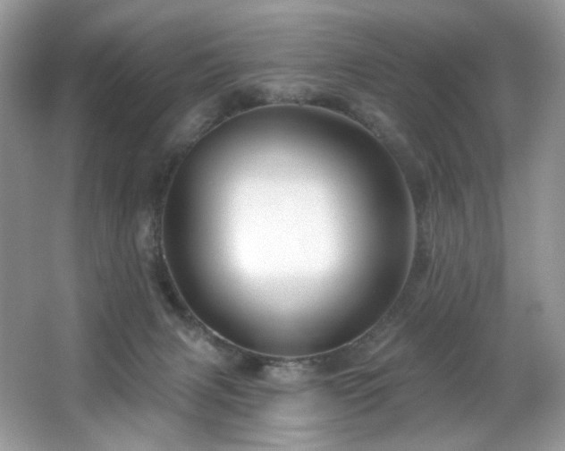 X0000065260079200602171506