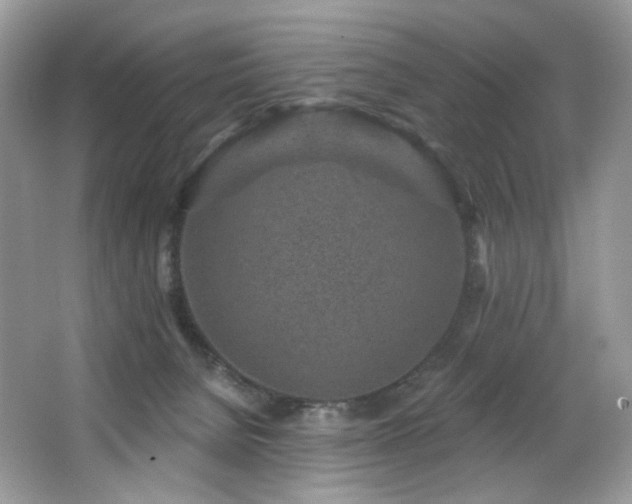 X0000065260080200602171506