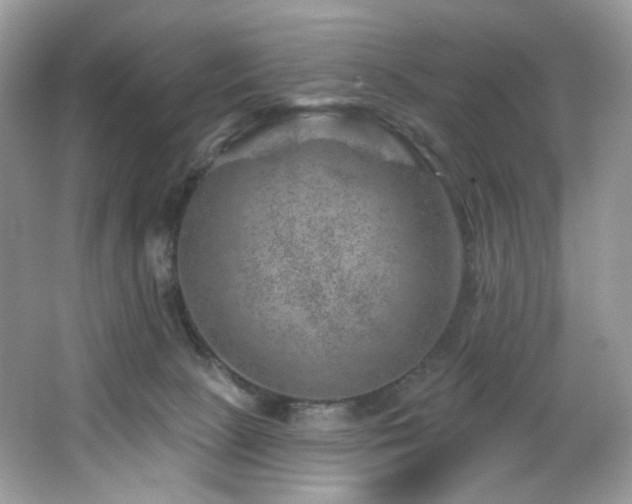 X0000065260081200602171506