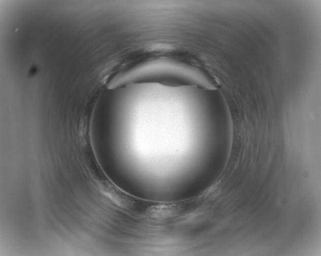 X0000065260082200602171506