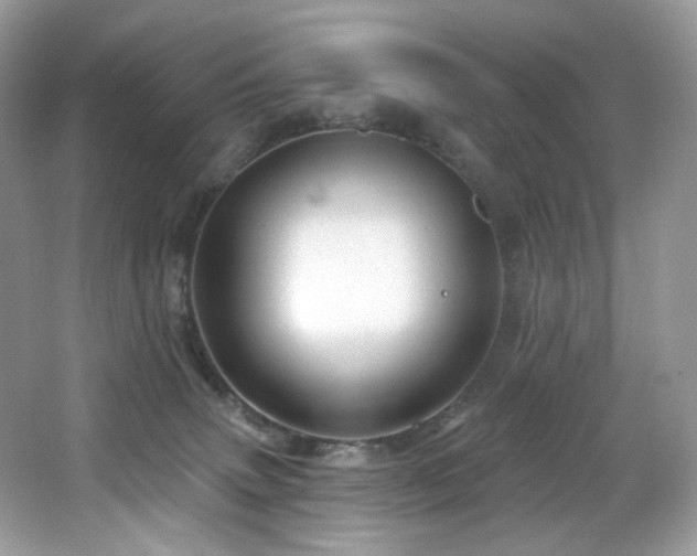 X0000065260083200602171506