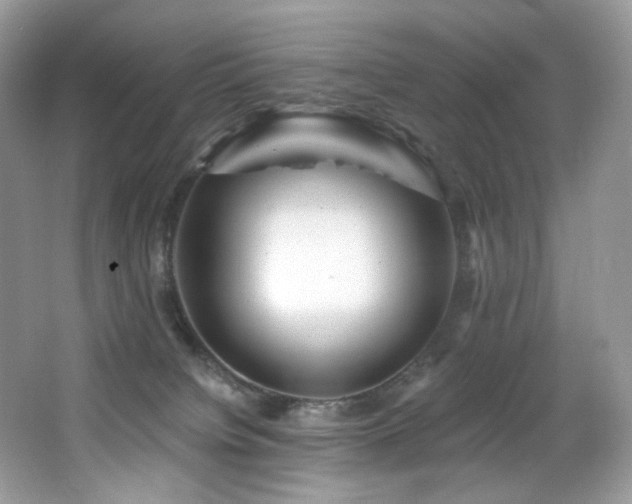 X0000065260084200602171506