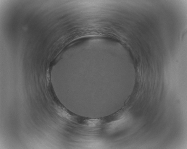 X0000065260085200602171506