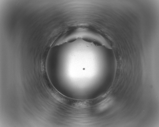 X0000065260086200602171506