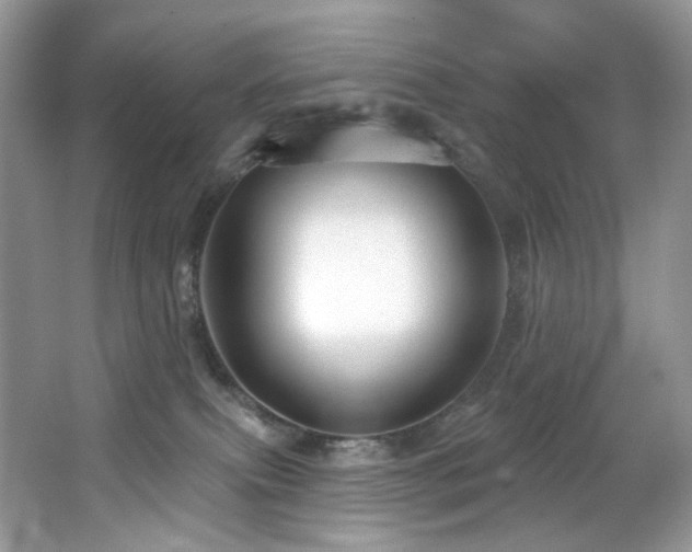 X0000065260087200602171506