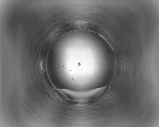 X0000065260088200602171506