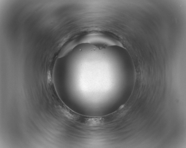 X0000065260089200602171506