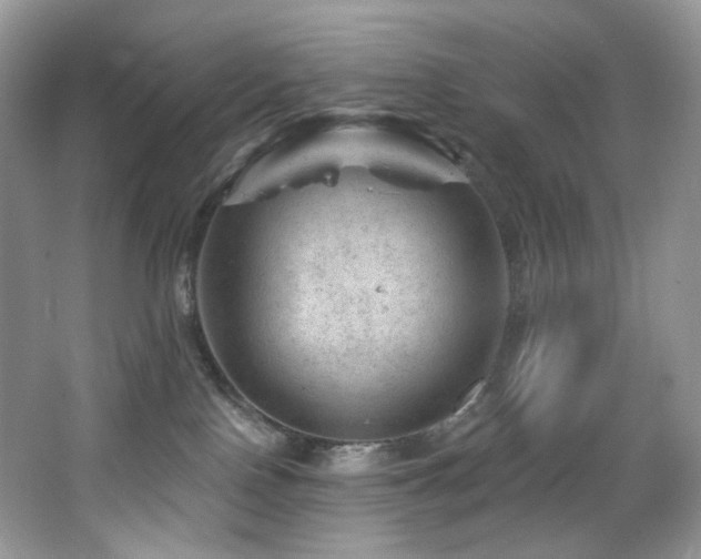 X0000065260090200602171506