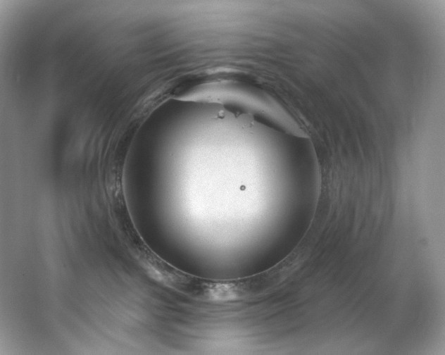 X0000065260091200602171506