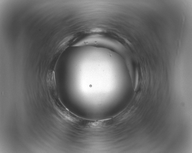 X0000065260092200602171506