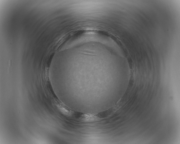 X0000065260093200602171506