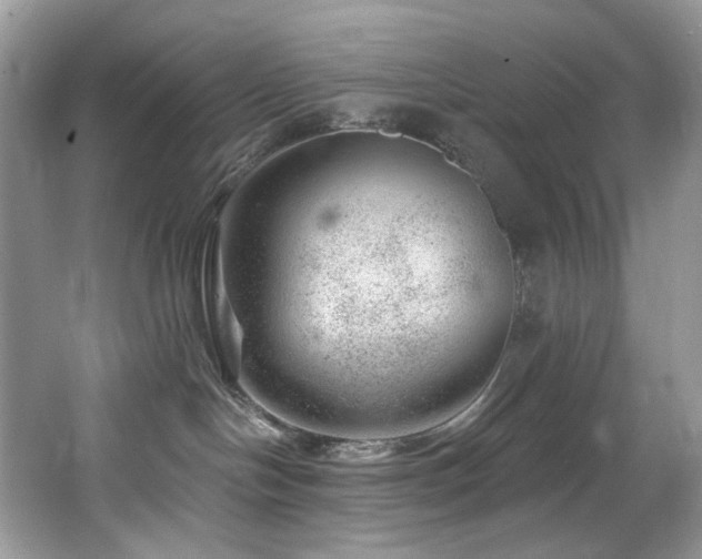 X0000065260094200602171506