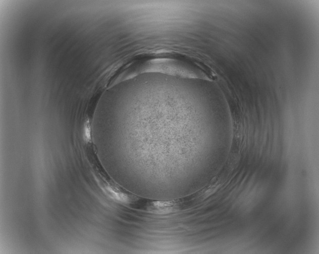 X0000065260095200602171506