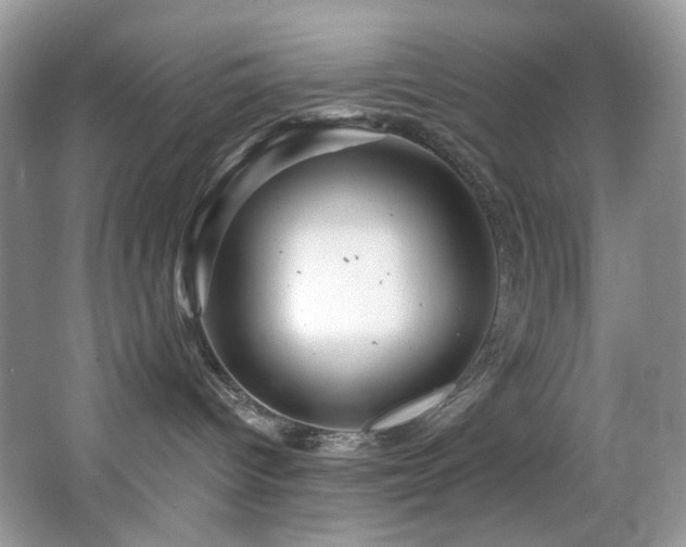 X0000065260096200602171506