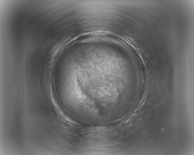 X0000065260097200602171505