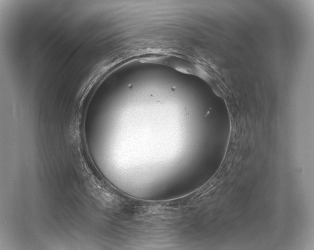 X0000065260098200602171505