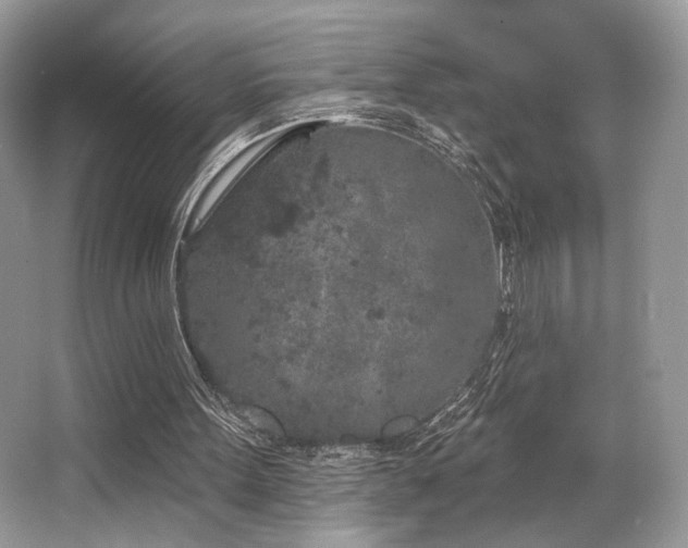 X0000065260099200602171505