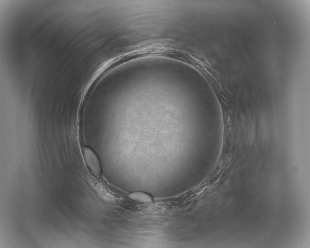 X0000065260100200602171505