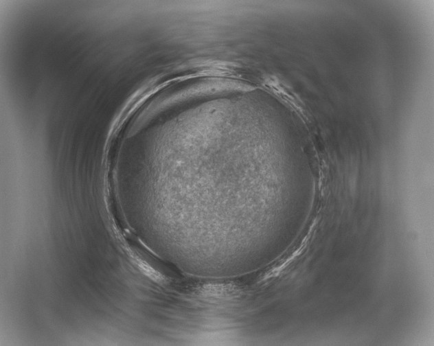 X0000065260101200602171505