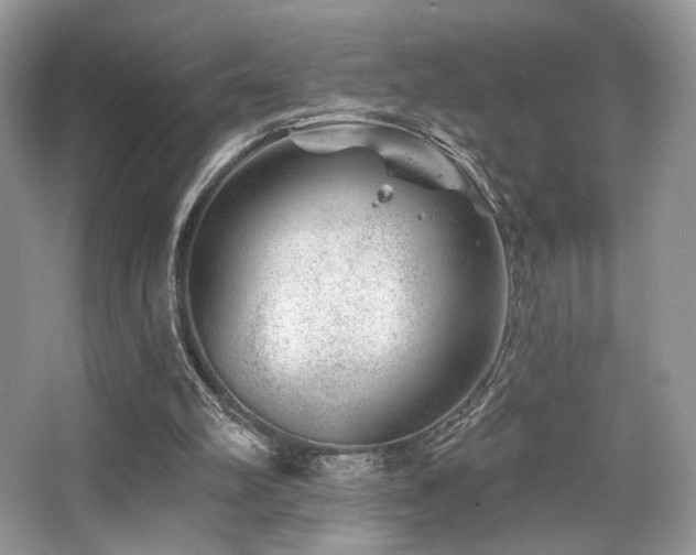 X0000065260102200602171505