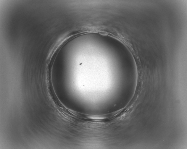 X0000065260103200602171505