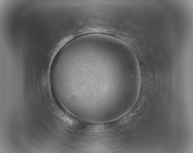 X0000065260104200602171505