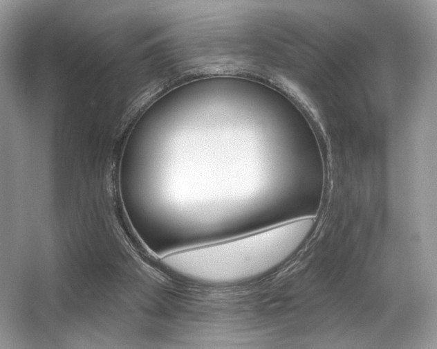 X0000065260105200602171505