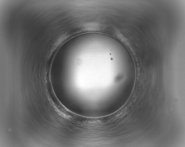 X0000065260106200602171505