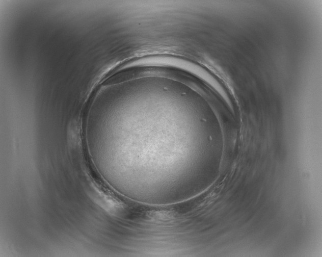 X0000065260107200602171505