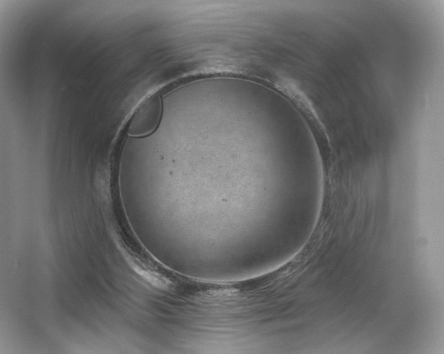 X0000065260108200602171505