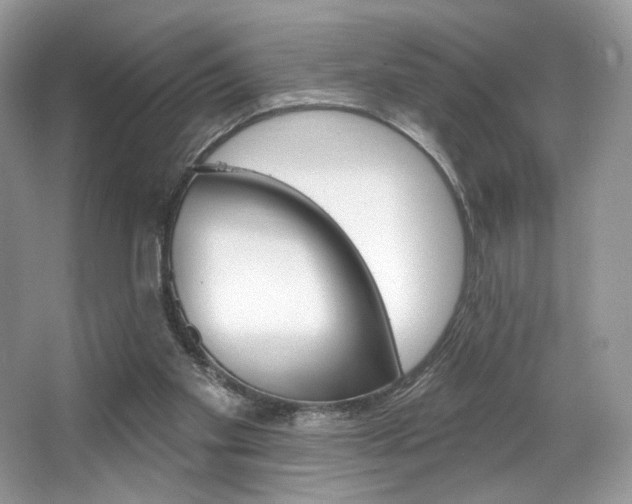 X0000065260109200602171505