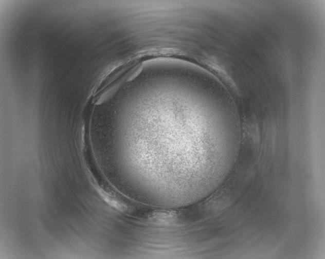 X0000065260110200602171505