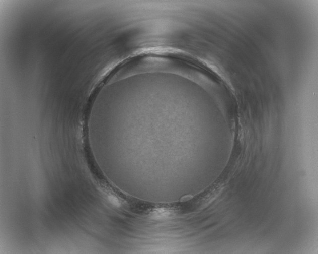 X0000065260111200602171505