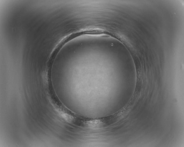 X0000065260112200602171505