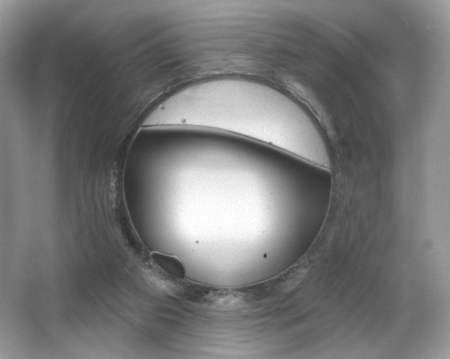 X0000065260113200602171505