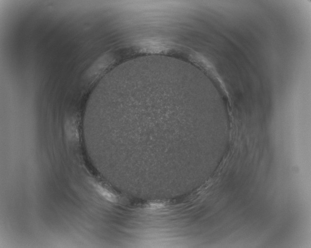 X0000065260114200602171505