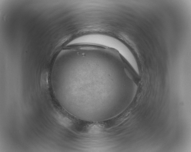 X0000065260115200602171505