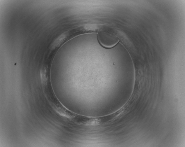 X0000065260116200602171505