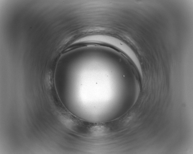 X0000065260119200602171505