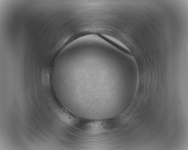 X0000065260120200602171505