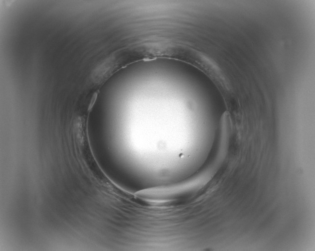 X0000065260121200602171505