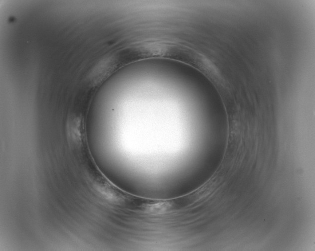 X0000065260122200602171505