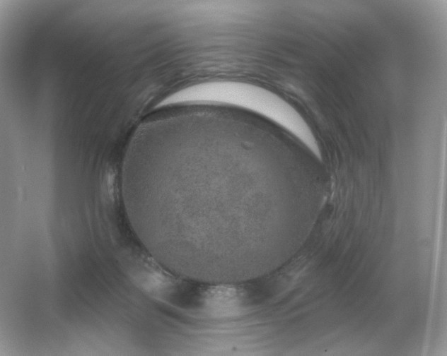 X0000065260123200602171505