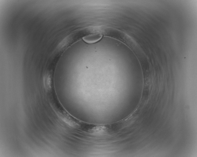 X0000065260124200602171505