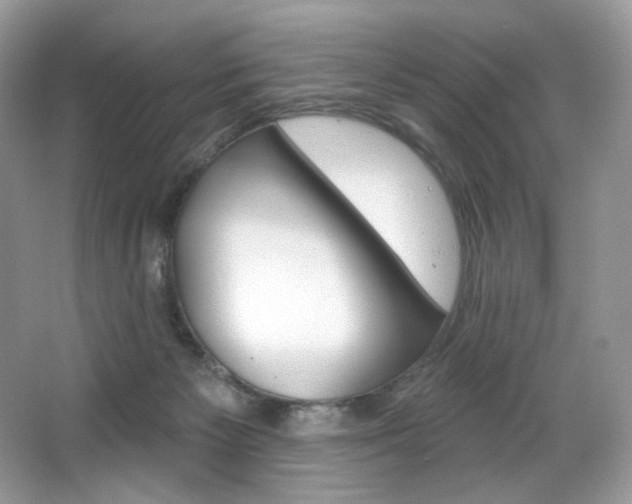 X0000065260125200602171505