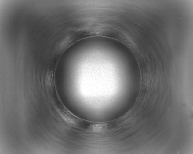 X0000065260126200602171505