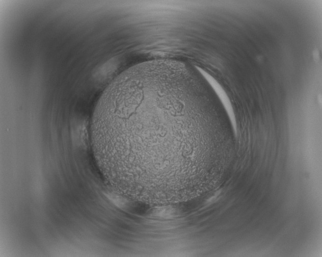 X0000065260127200602171505