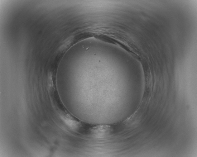 X0000065260128200602171505