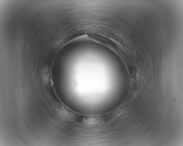 X0000065260129200602171505