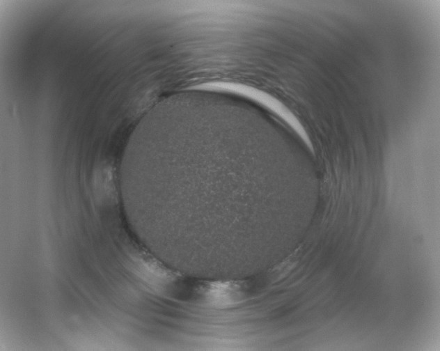 X0000065260130200602171505